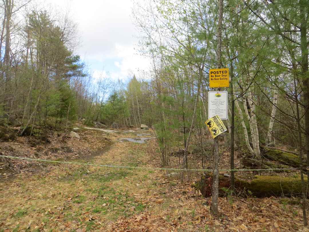Lot 5 Fogg Hill Road, Center Harbor, NH 03226