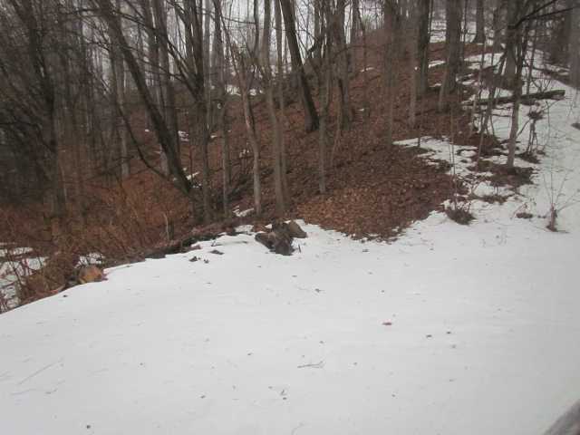 14 Sanger StreetFranklin, NH, 03235Merrimack County