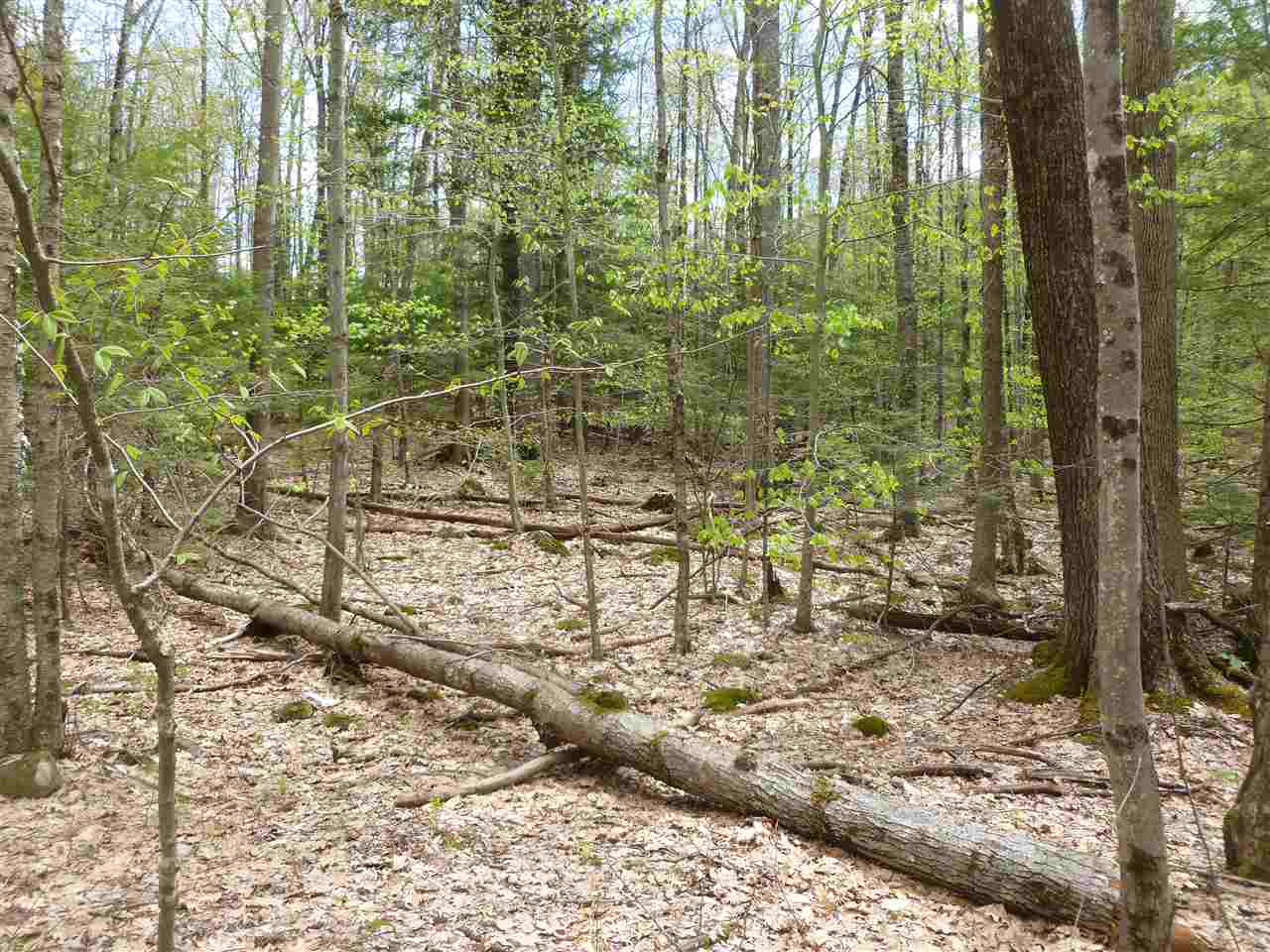 420-38 Allens Mill Road, Gilmanton, NH 03237