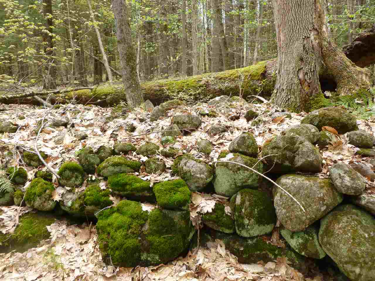 420-38 Allens Mill Road, Gilmanton, NH 03237