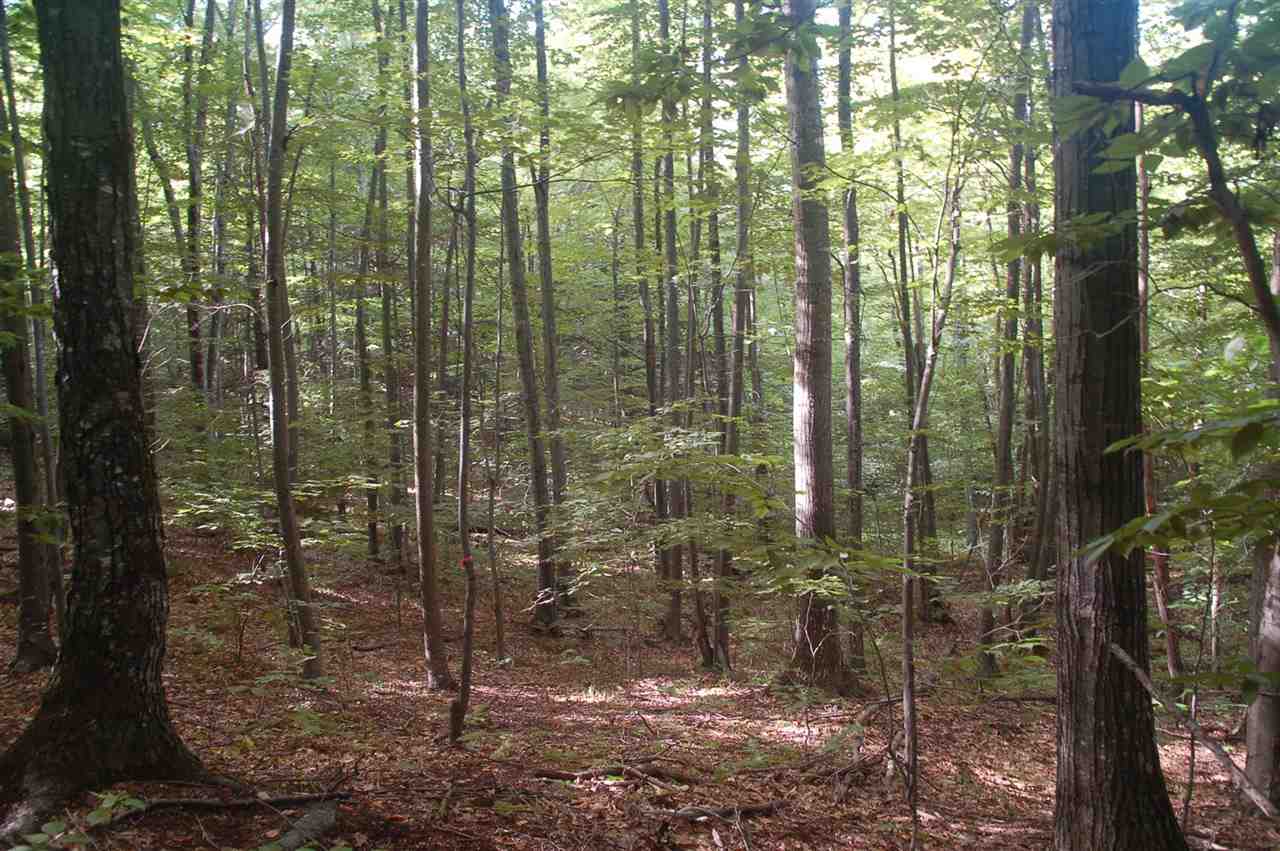 00 NH Route 140, Gilmanton, NH 03237
