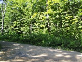 000 South Rd Road, Gilmanton, NH 03237