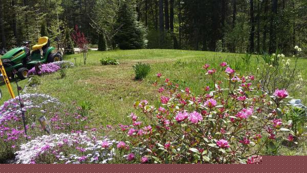 74 Brock Hill Road ,NH, Grafton, 03240