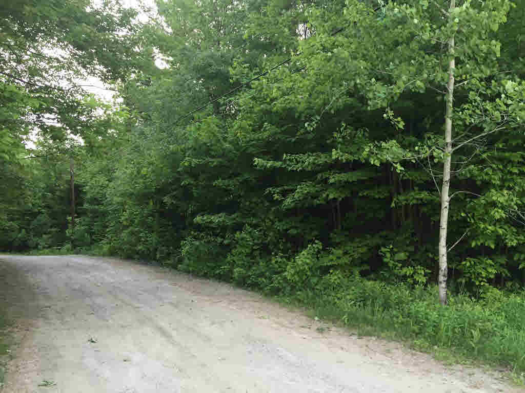 0 Corner of Blood Rd & N. Groton Road, Groton, NH 03241