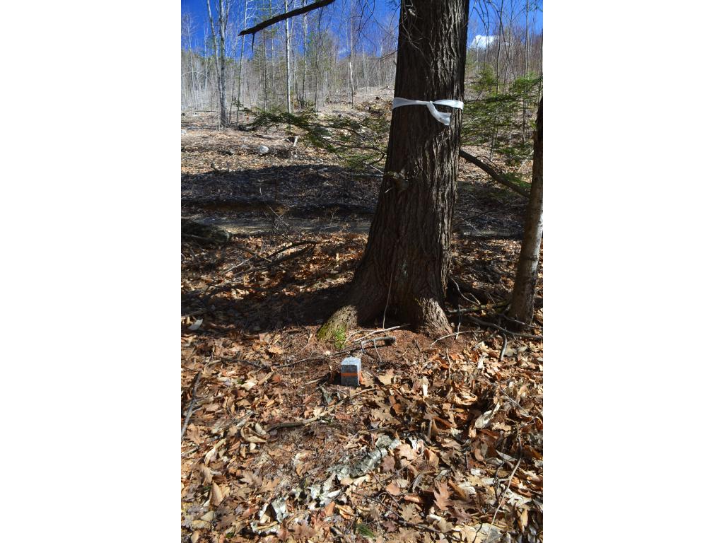 292 King Road, Hill, NH 03243