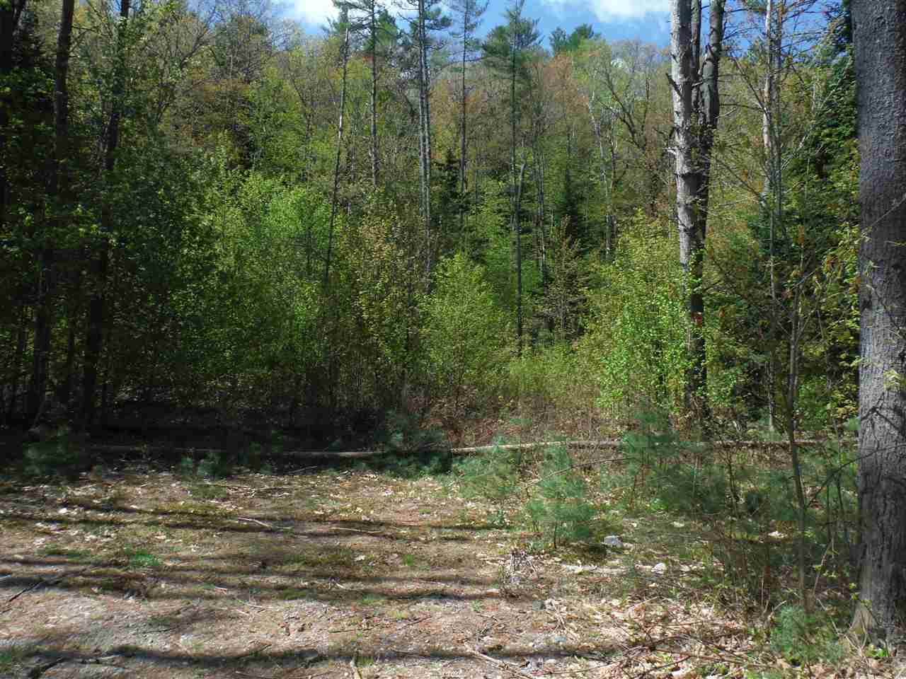 000 Borough Road, Hill, NH 03243