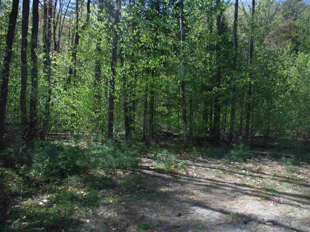 000 Borough Road, Hill, NH 03243