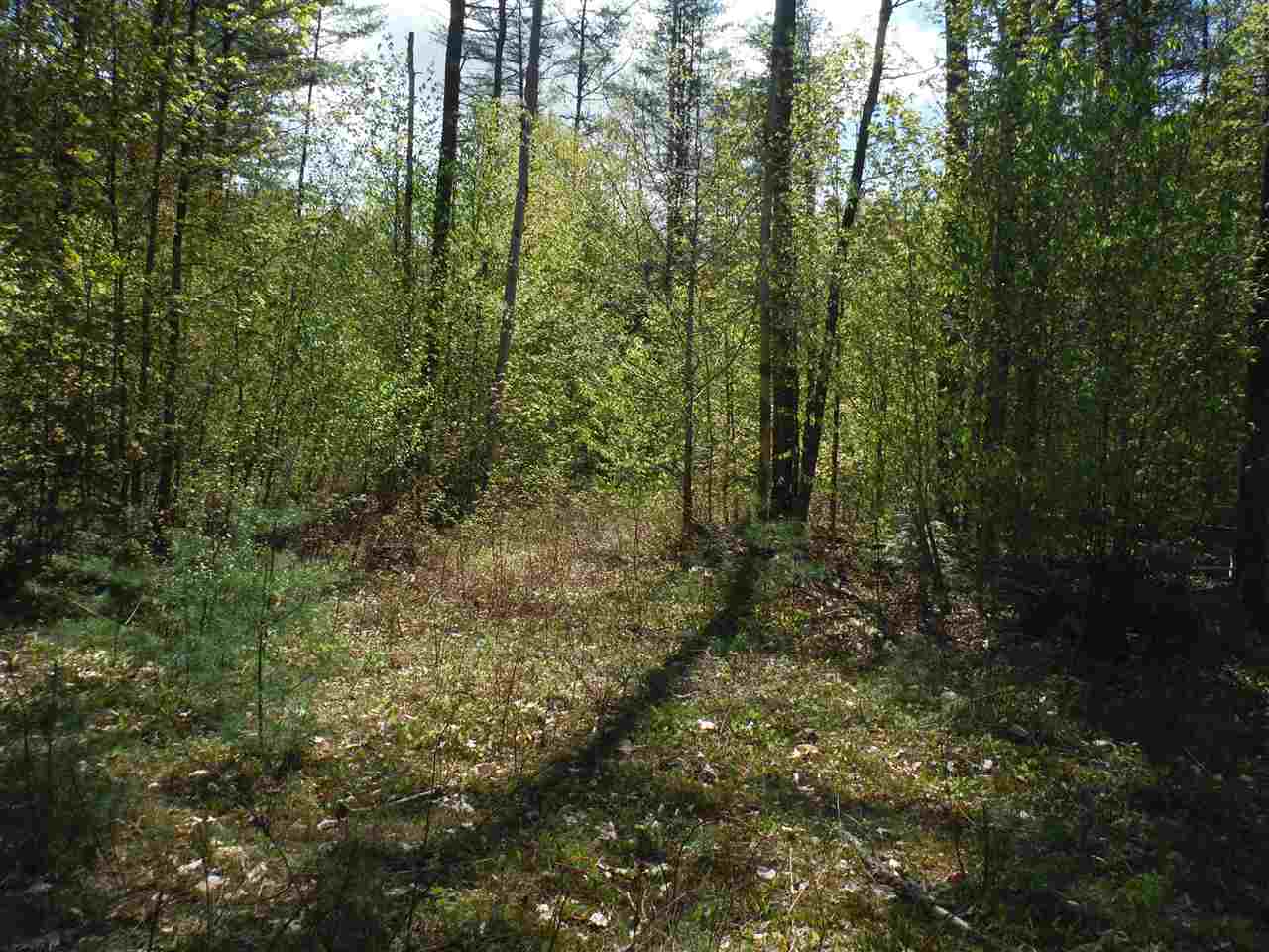 000 Borough Road, Hill, NH 03243