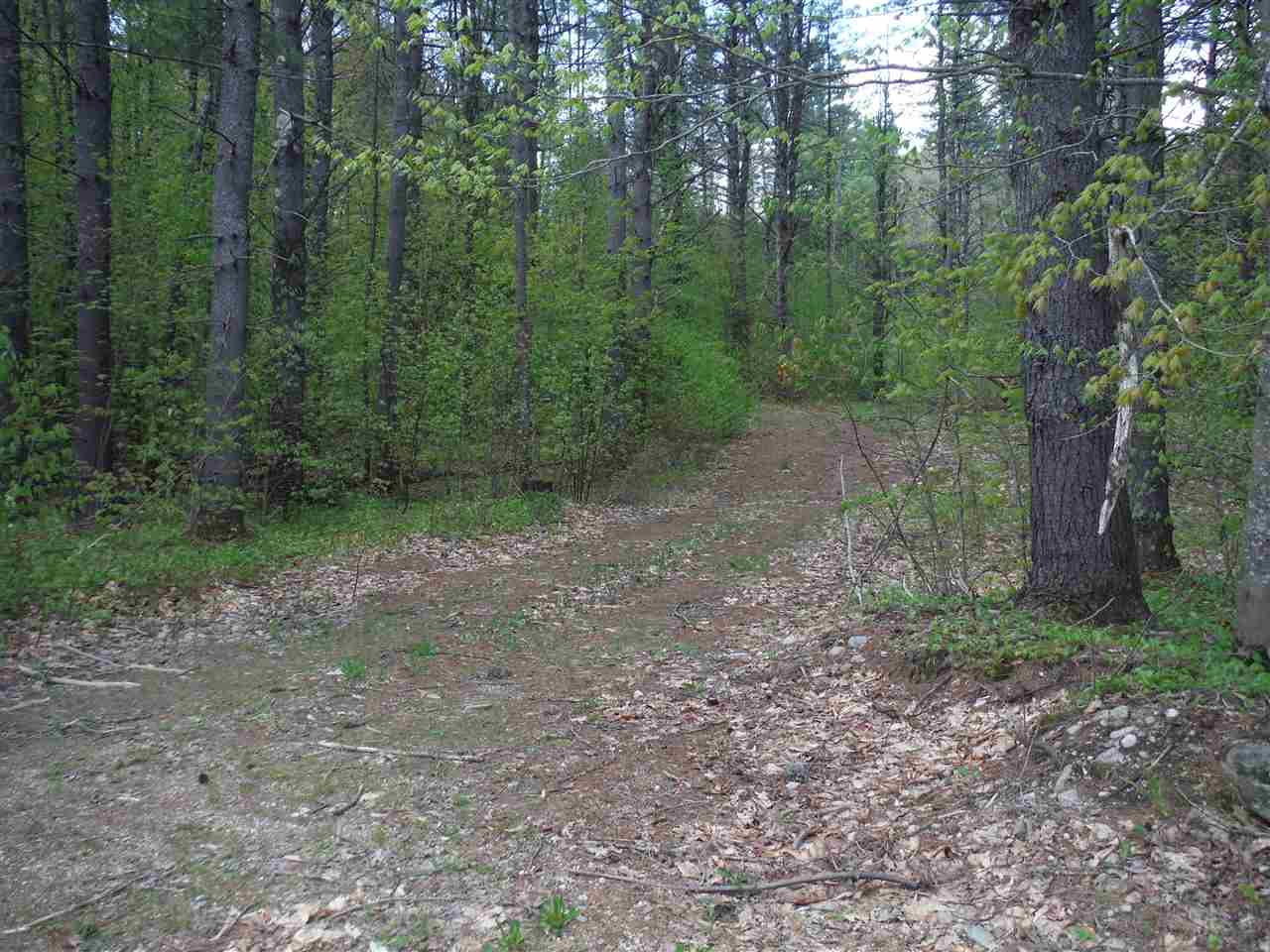 00 Borough Road, Hill, NH 03243