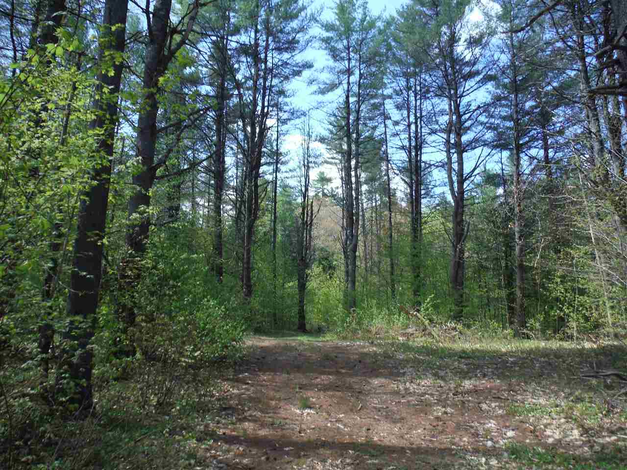 00 Borough Road, Hill, NH 03243