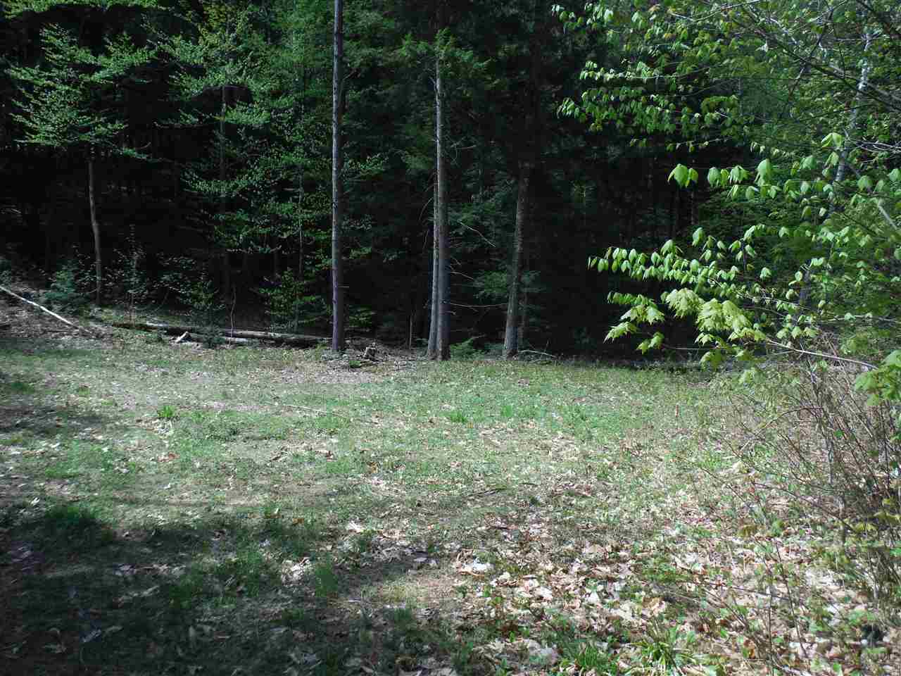 00 Borough Road, Hill, NH 03243
