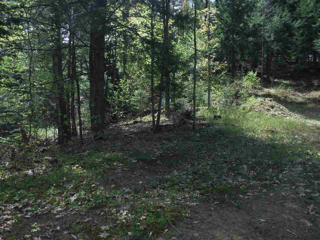 00 Borough Road, Hill, NH 03243