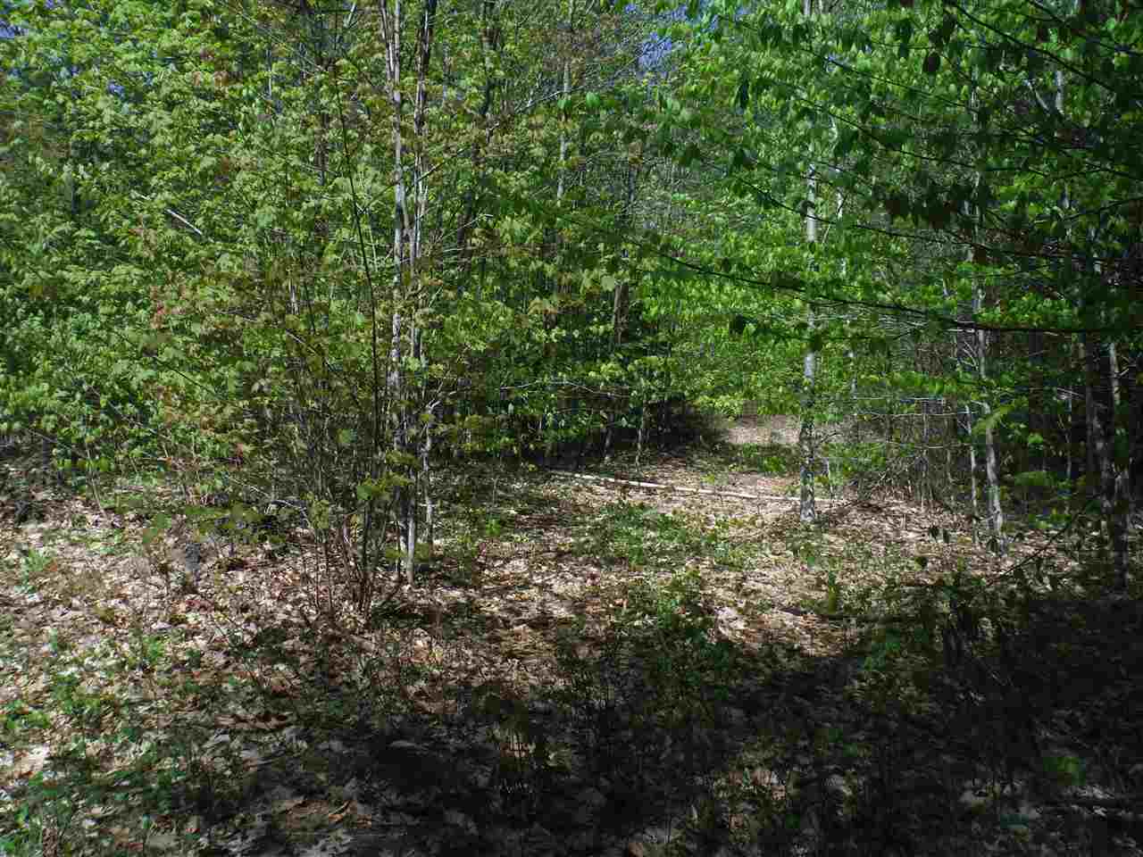 00 Borough Road, Hill, NH 03243