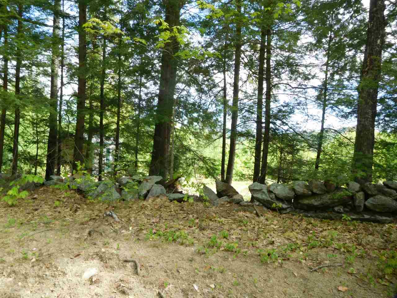 164 Cass Mill Road, Hill, NH 03243