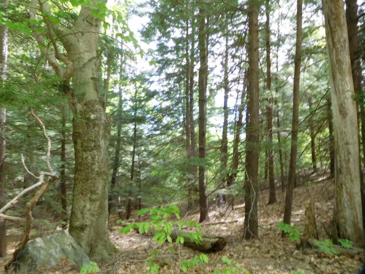 164 Cass Mill Road, Hill, NH 03243