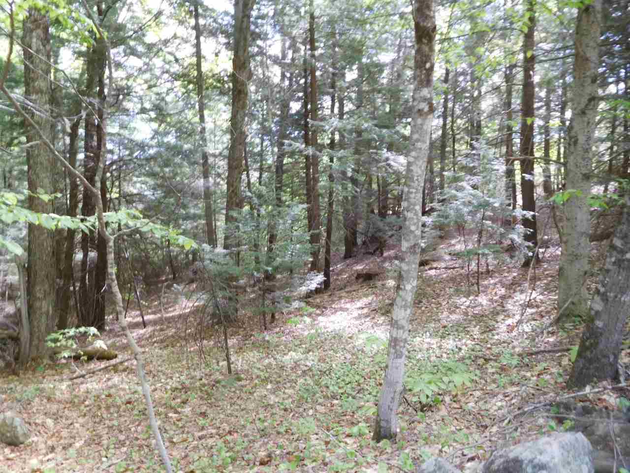 164 Cass Mill Road, Hill, NH 03243