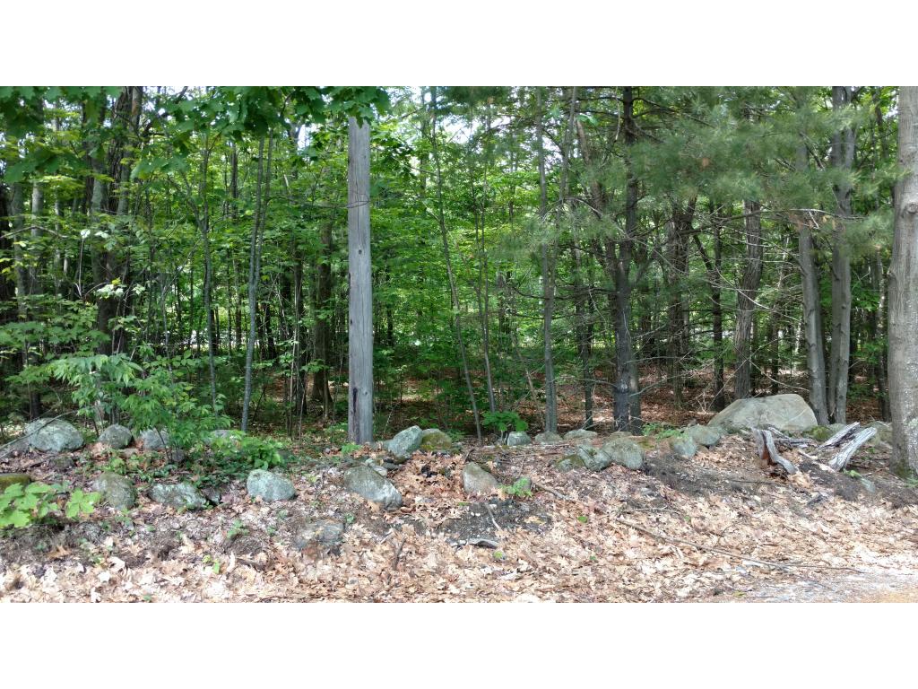00 Fisher Road, Deering, NH 03244