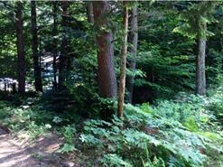 89 1/2 Stowe Mountain Road, Hillsborough, NH 03244