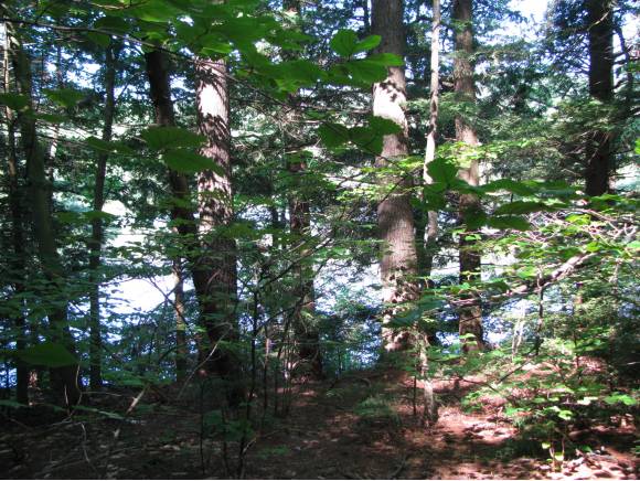6-34 Camp Road, Windsor, NH 03244
