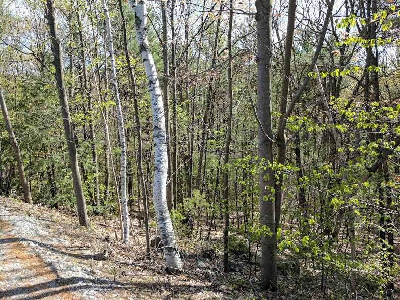 40 Foxglove Road, Gilford, NH 03249