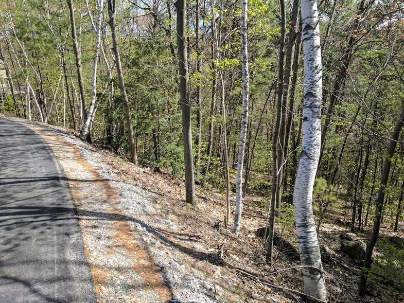 40 Foxglove Road, Gilford, NH 03249