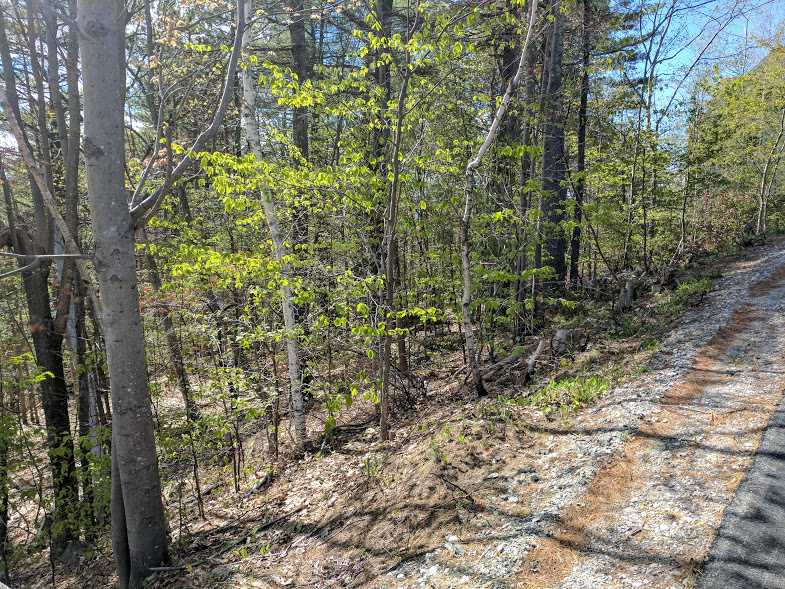 40 Foxglove Road, Gilford, NH 03249
