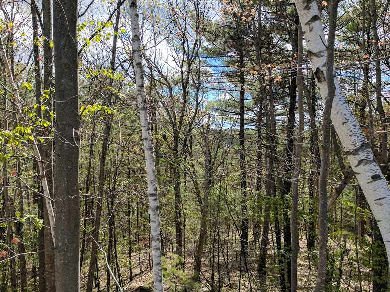40 Foxglove Road, Gilford, NH 03249