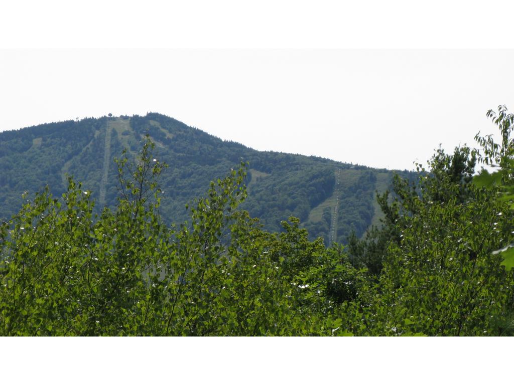 165 Mountain Drive, Gilford, NH 03249