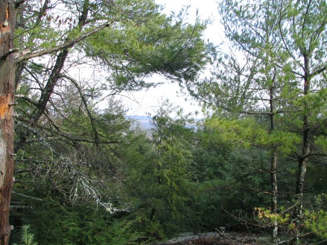Lot 1 Old Roxbury Road, Meredith, NH 03253