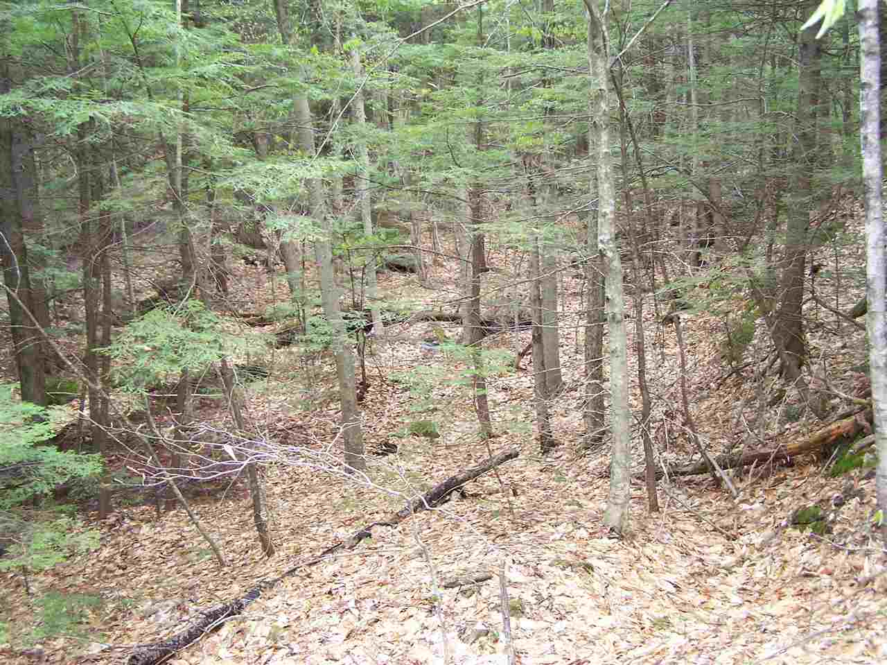 Lot 1 Old Roxbury Road, Meredith, NH 03253