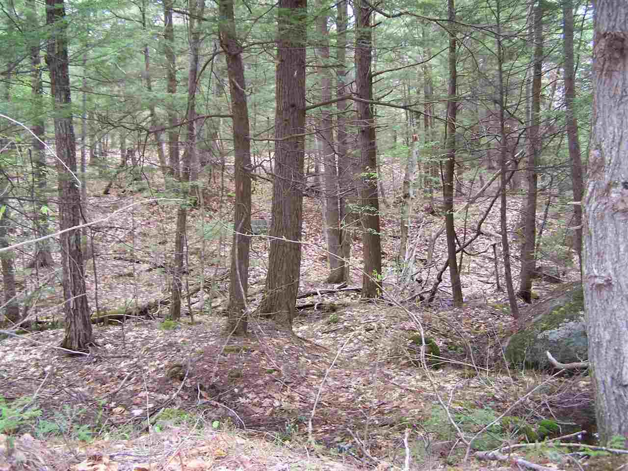 Lot 1 Old Roxbury Road, Meredith, NH 03253