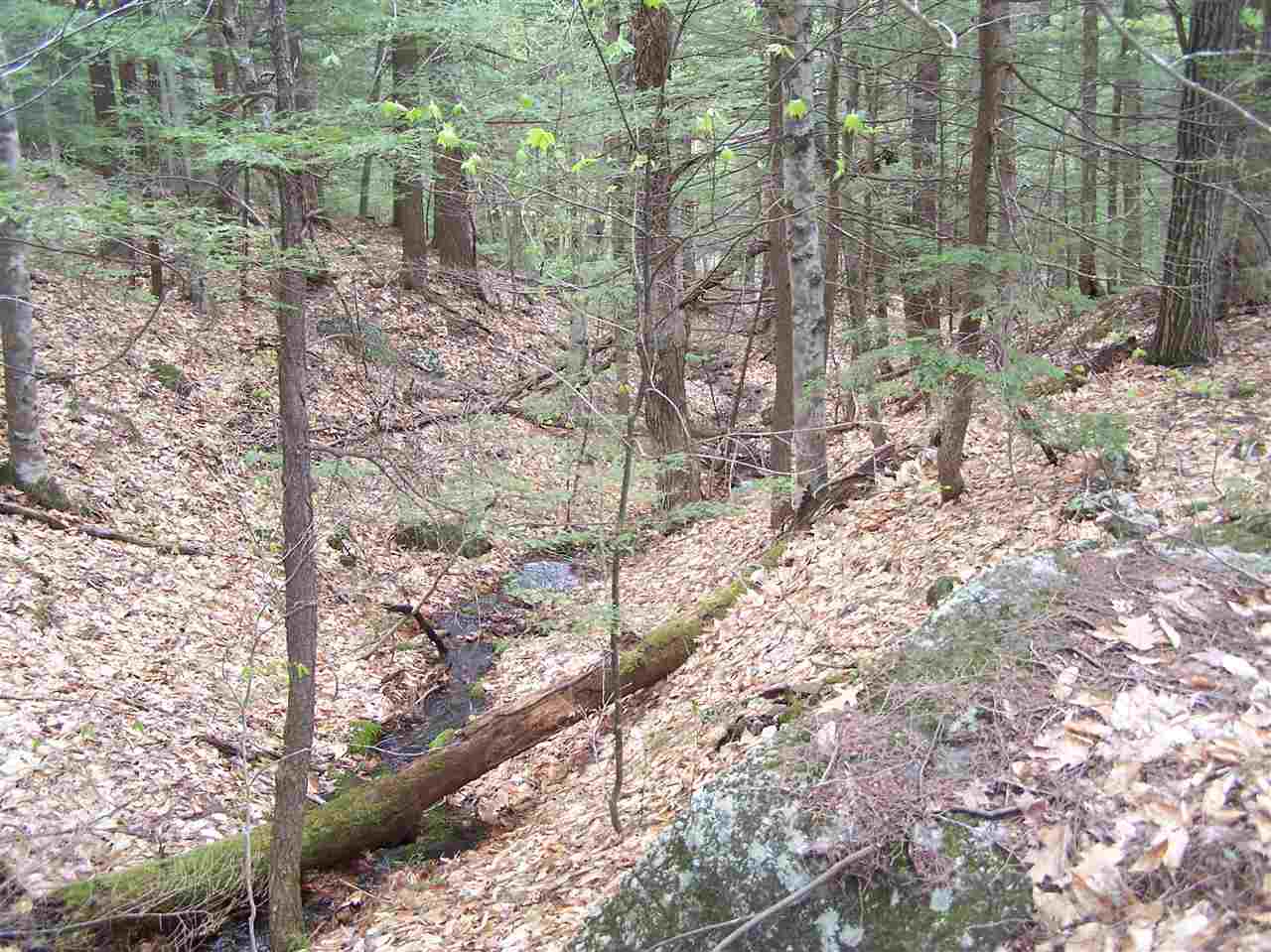 Lot 1 Old Roxbury Road, Meredith, NH 03253