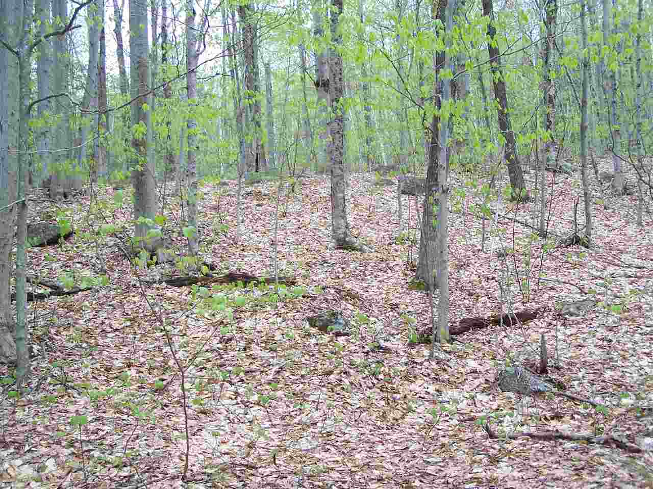 Lot 3 Old Roxbury Road, Meredith, NH 03253