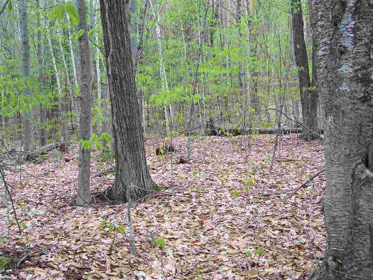 Lot 3 Old Roxbury Road, Meredith, NH 03253