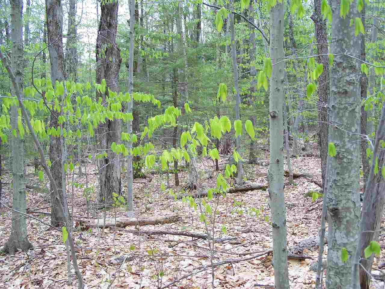 Lot 3 Old Roxbury Road, Meredith, NH 03253