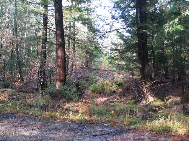Lots 1 & 3 Old Roxbury Road, Meredith, NH 03253