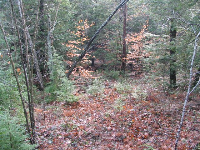 Lots 1 & 3 Old Roxbury Road, Meredith, NH 03253