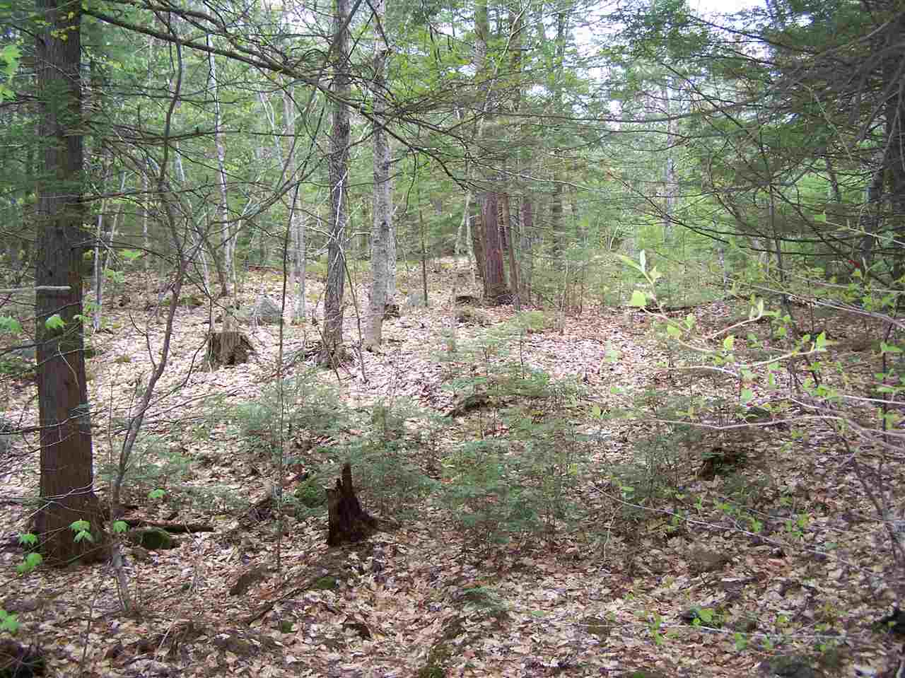 Lots 1 & 3 Old Roxbury Road, Meredith, NH 03253