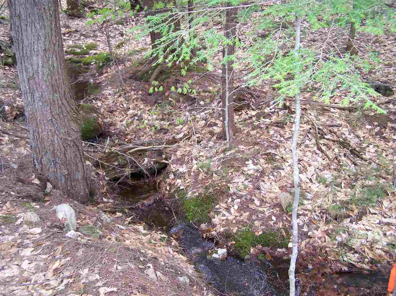 Lots 1 & 3 Old Roxbury Road, Meredith, NH 03253