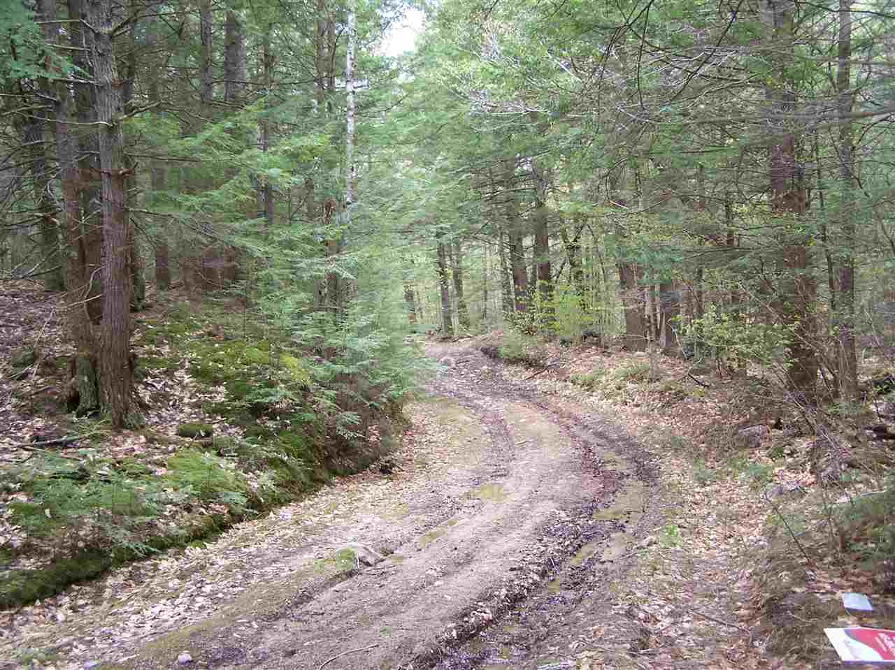 Lots 1 & 3 Old Roxbury Road, Meredith, NH 03253