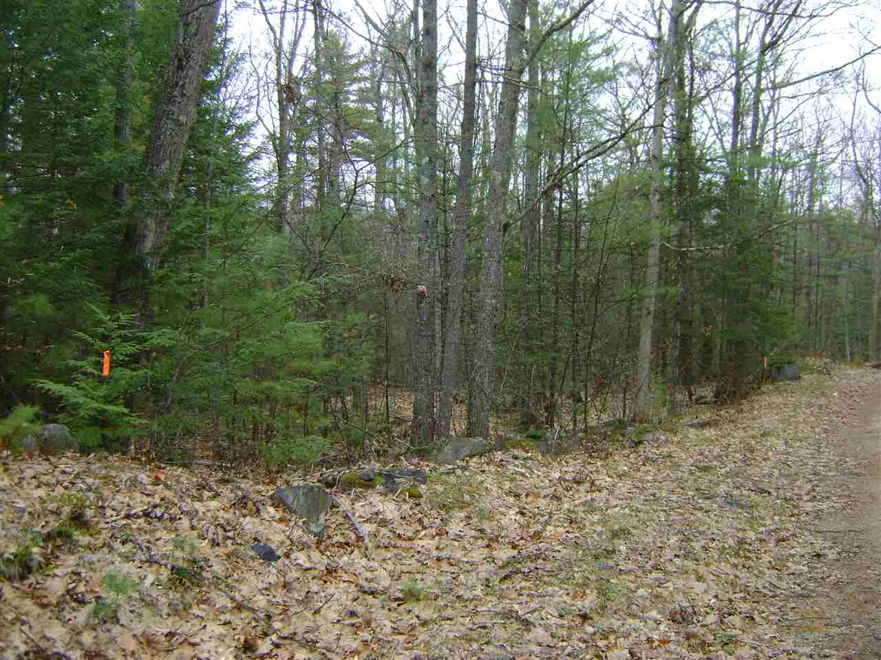 00 Blanc Street, Moultonborough, NH 03254