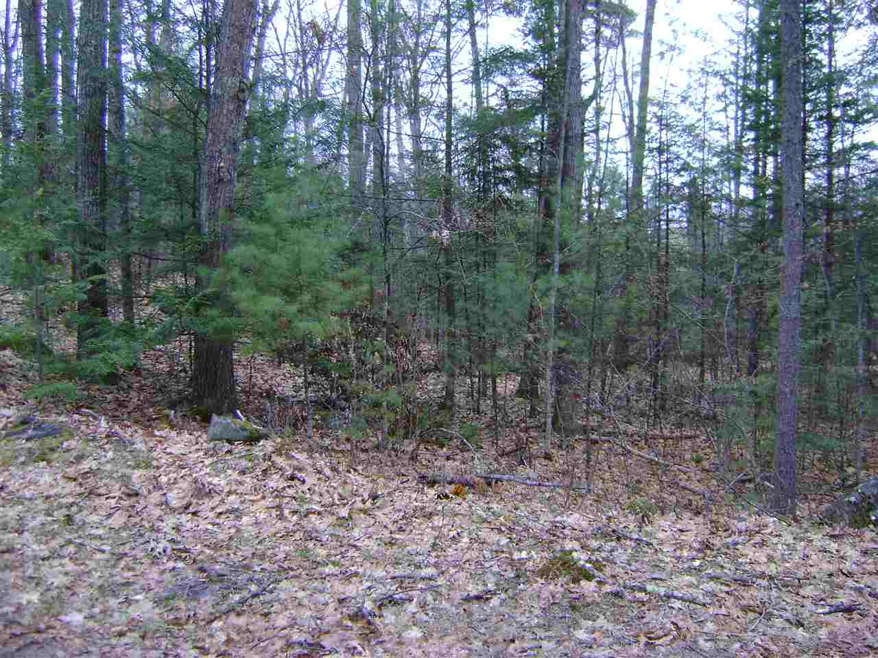 00 Blanc Street, Moultonborough, NH 03254