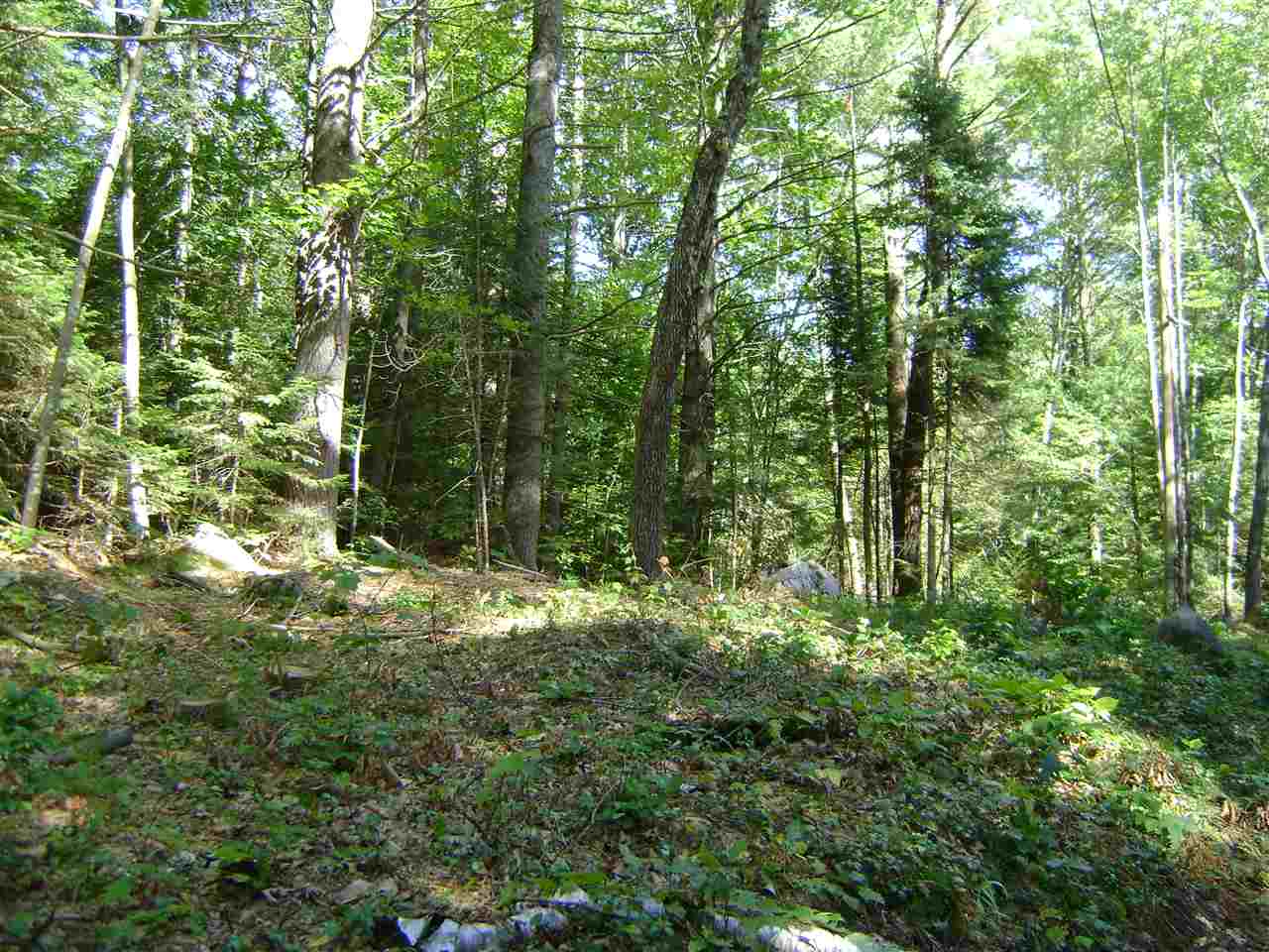 00 Berndorf Street, Moultonborough, NH 03254