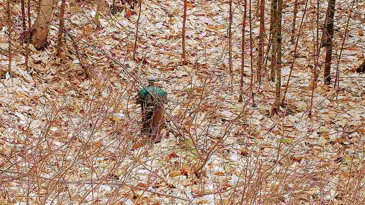 219 Winaukee Road, Moultonborough, NH 03254