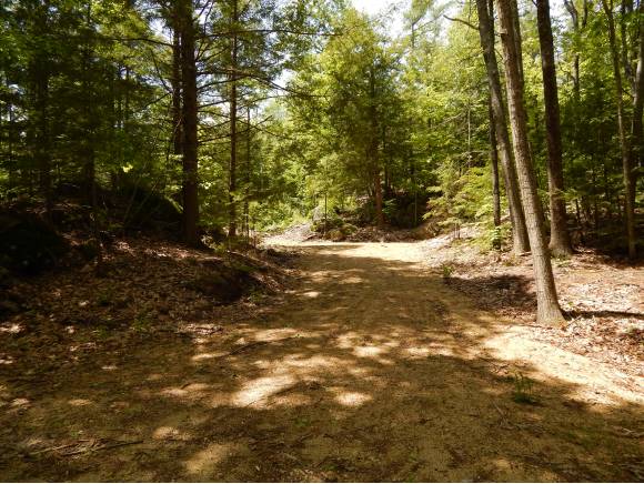 Lot #3 South Road, Newbury, NH 03255
