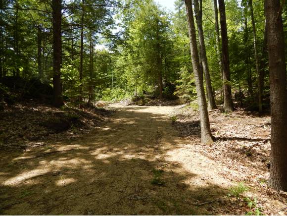 Lot #3 South Road, Newbury, NH 03255