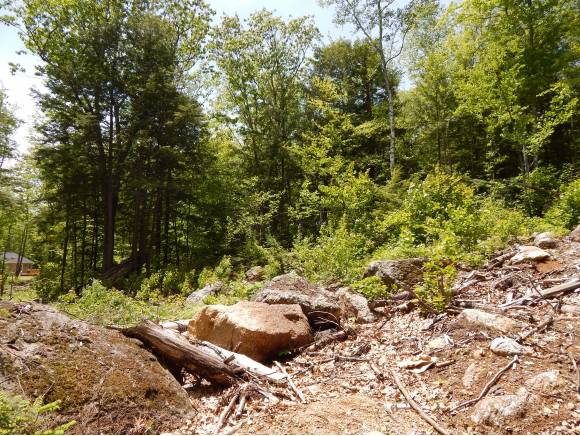 Lot #3 South Road, Newbury, NH 03255