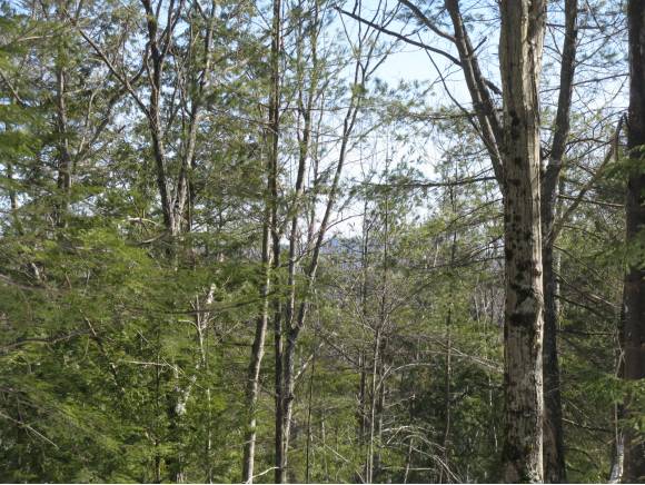 Lot #3 South Road, Newbury, NH 03255