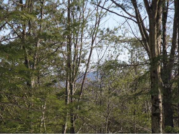Lot #3 South Road, Newbury, NH 03255