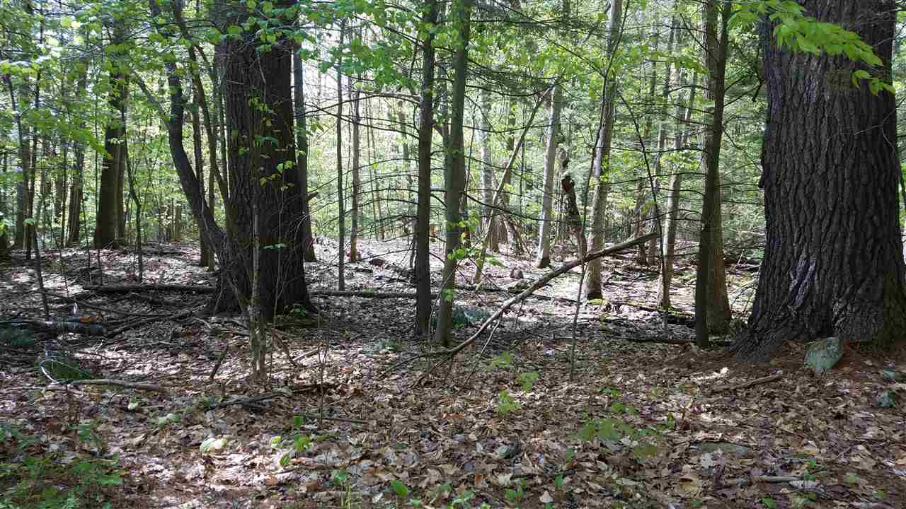 Map31Lot Red House Rd, Newbury, NH 03255